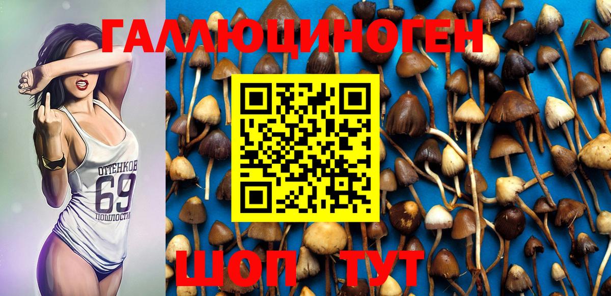 Якутск  Псилоцибиновые грибы MAGIC MUSHROOMS  Вход с VPN 